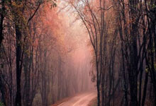 克罗托内客场大败，保级前景堪忧